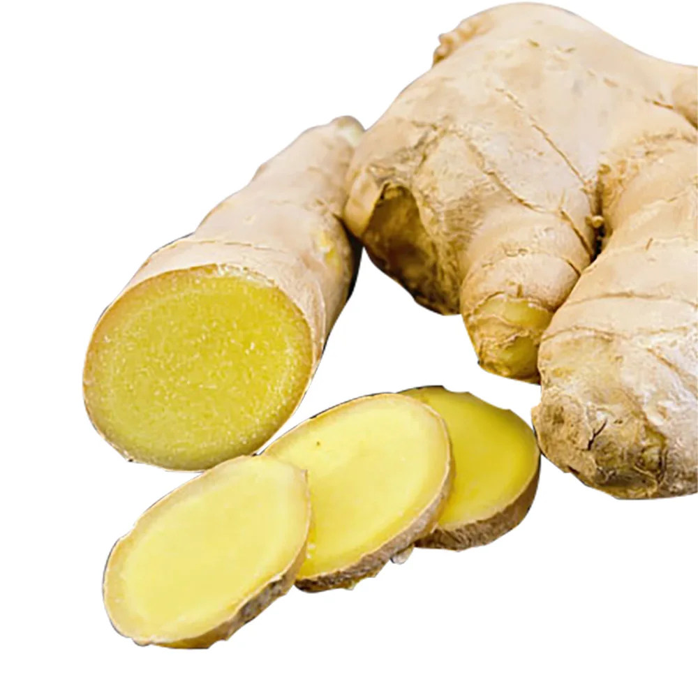 FROZEN GINGER SLICED ORIGIN VIETNAM FROM AN VAN THINH FOOD TO EXPORT / JENGIBRE CONGELADO EN RODAJAS