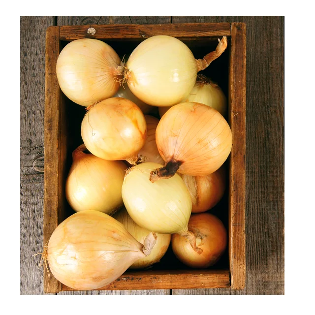 100% органический и свежий лук в индивидуальной упаковке по низкой цене