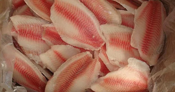 Natural Well Trimmed Frozen Tilapia Fillet Clean Made in Viet Nam Frozen tilapia fish Hot selling farm live fresh Wholesale