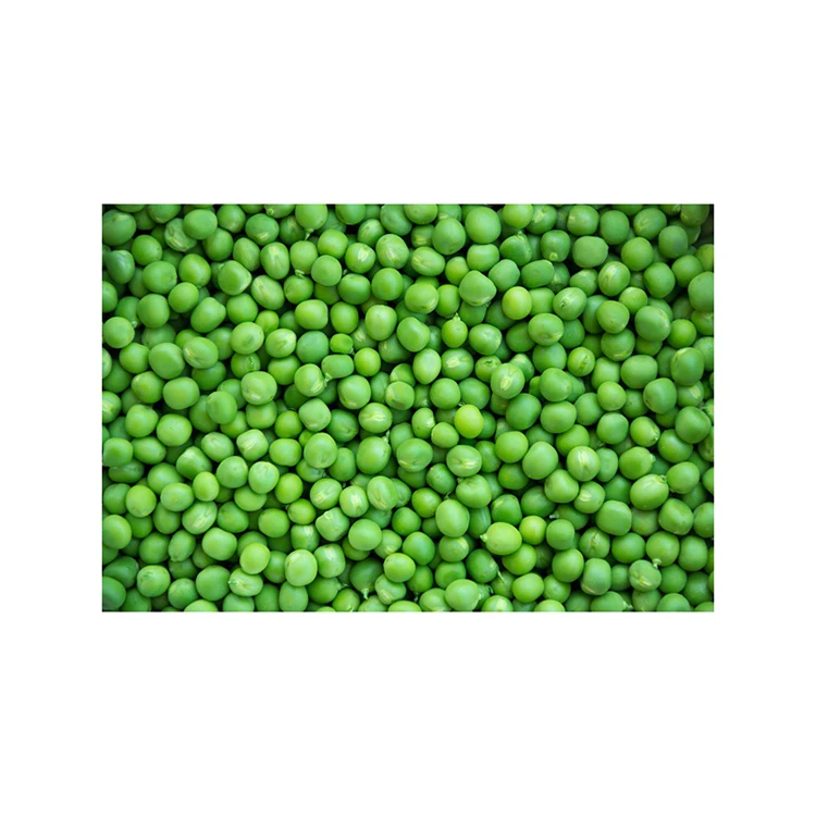 Top quality organic natural high nutrition green peas grain in bulk for healthy eating, agriculture products (11000000491400)
