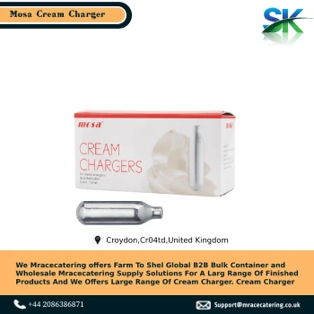 Hot selling reliability manufactured security product and very durable Gas charger