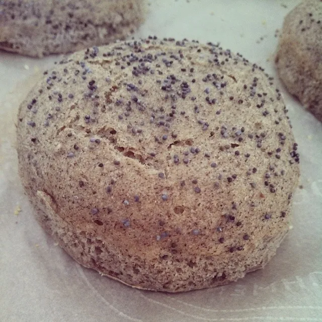 
Cotton Seed Meal Variety 