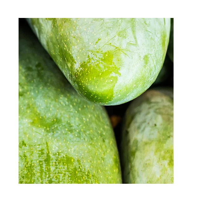 
Organic Pakistani Fresh Green Mangoes In Wholesale Price 