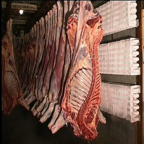 Frozen boneless Beef Meat