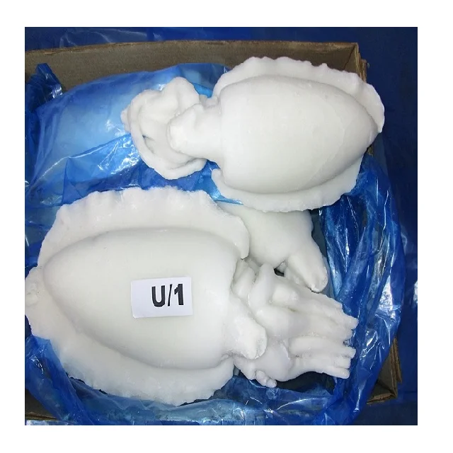 Frozen Individual quick frozen Cuttlefish whole cleaned from India