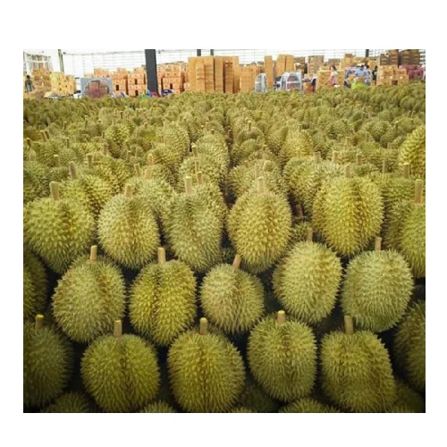  Вкусный сильный запах фруктов со сладким вкусом заварного дуриана для вкуса соленых и сладких десертов