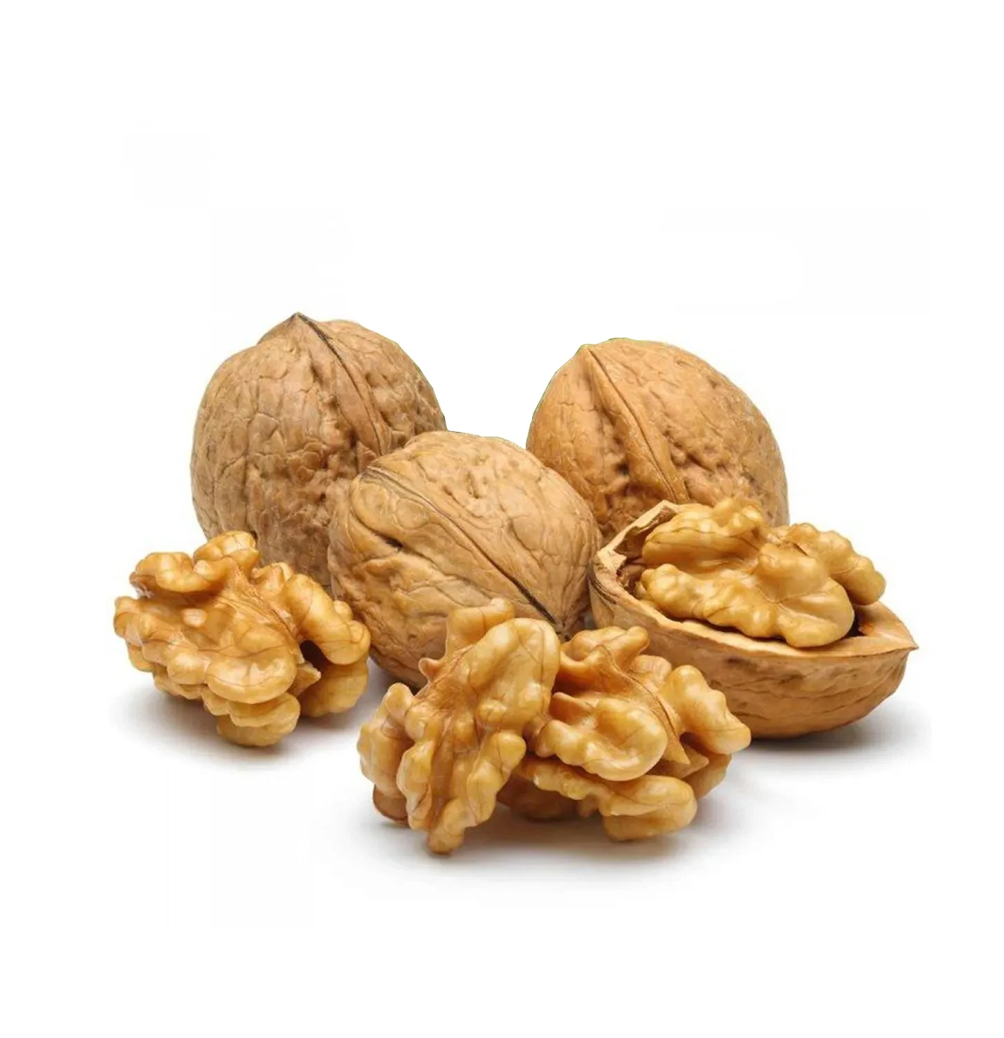 Excellent quality Thin-skin Raw Walnut with shell in bulk for sale