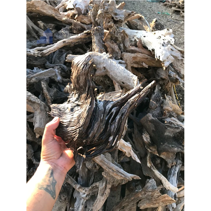 Hot items 2024 Driftwood Nature for Aquarium Landscaping, Aquarium Fish Tank, Planting Grass WhatsApp: +84 961005832
