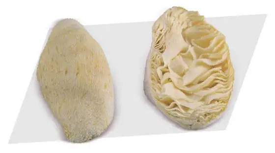 Wholesale Frozen Beef Omasum For Sale In Cheap Price Bulk Quantity Available