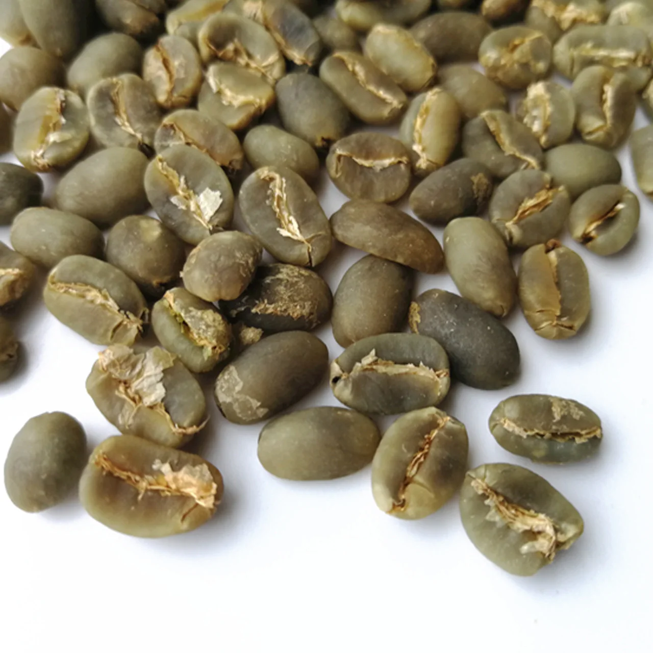 Roasted Ground Coffee Beans Arabica COMMON Manufacture Products Coffee Honey from Vietnam Organic Products Green