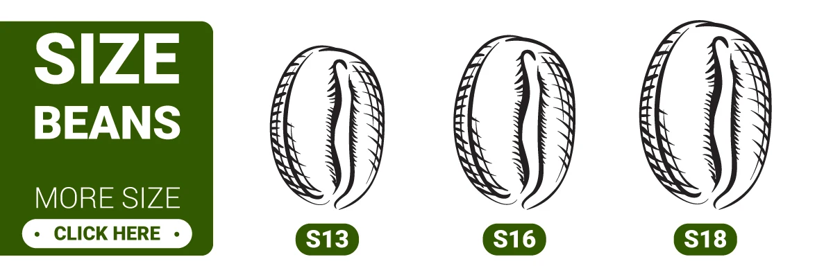 Высококачественный зеленый кафе arabica готов к отправке надежная фабрика 