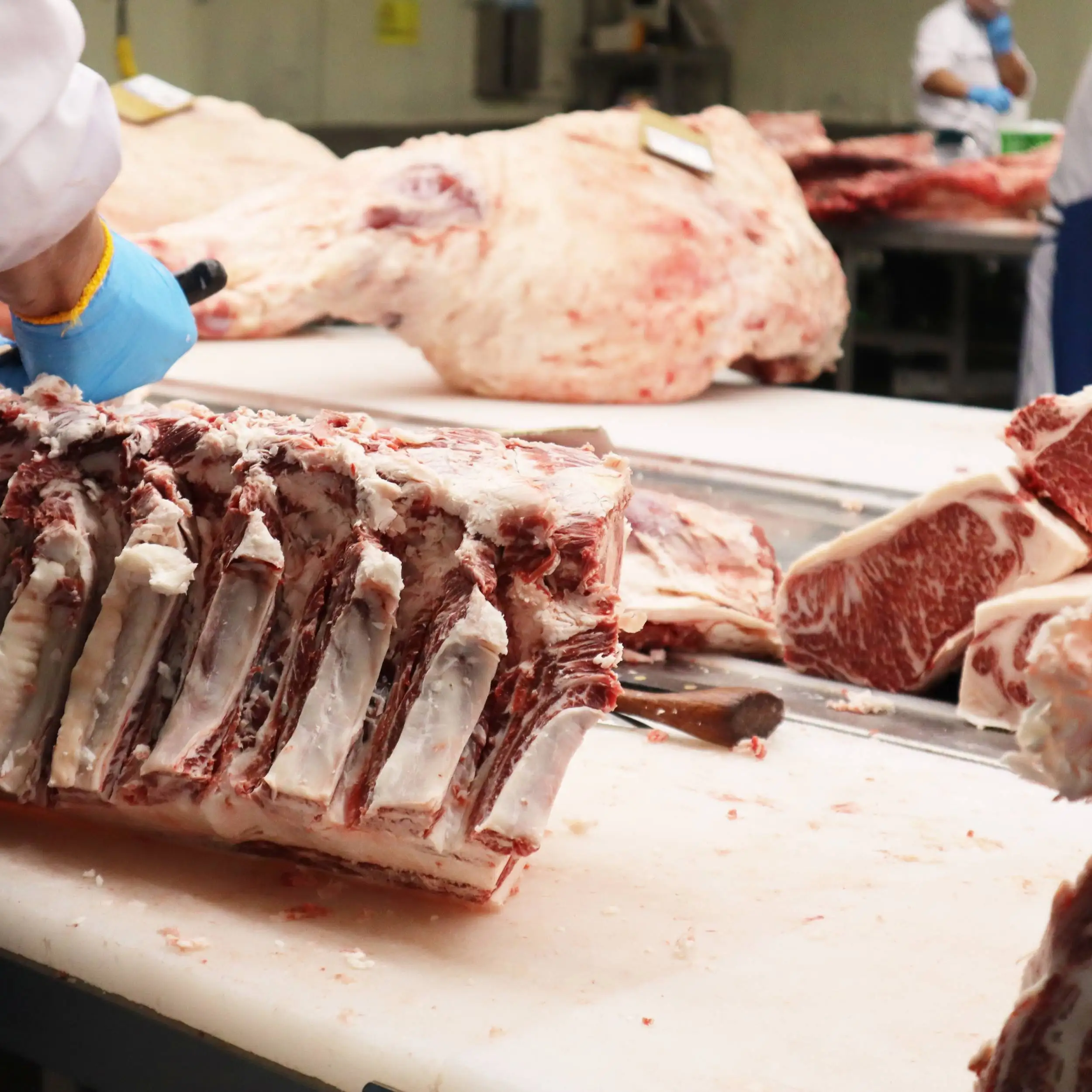 Quality Australian Beef Sirloin Wagyu/Best Prices