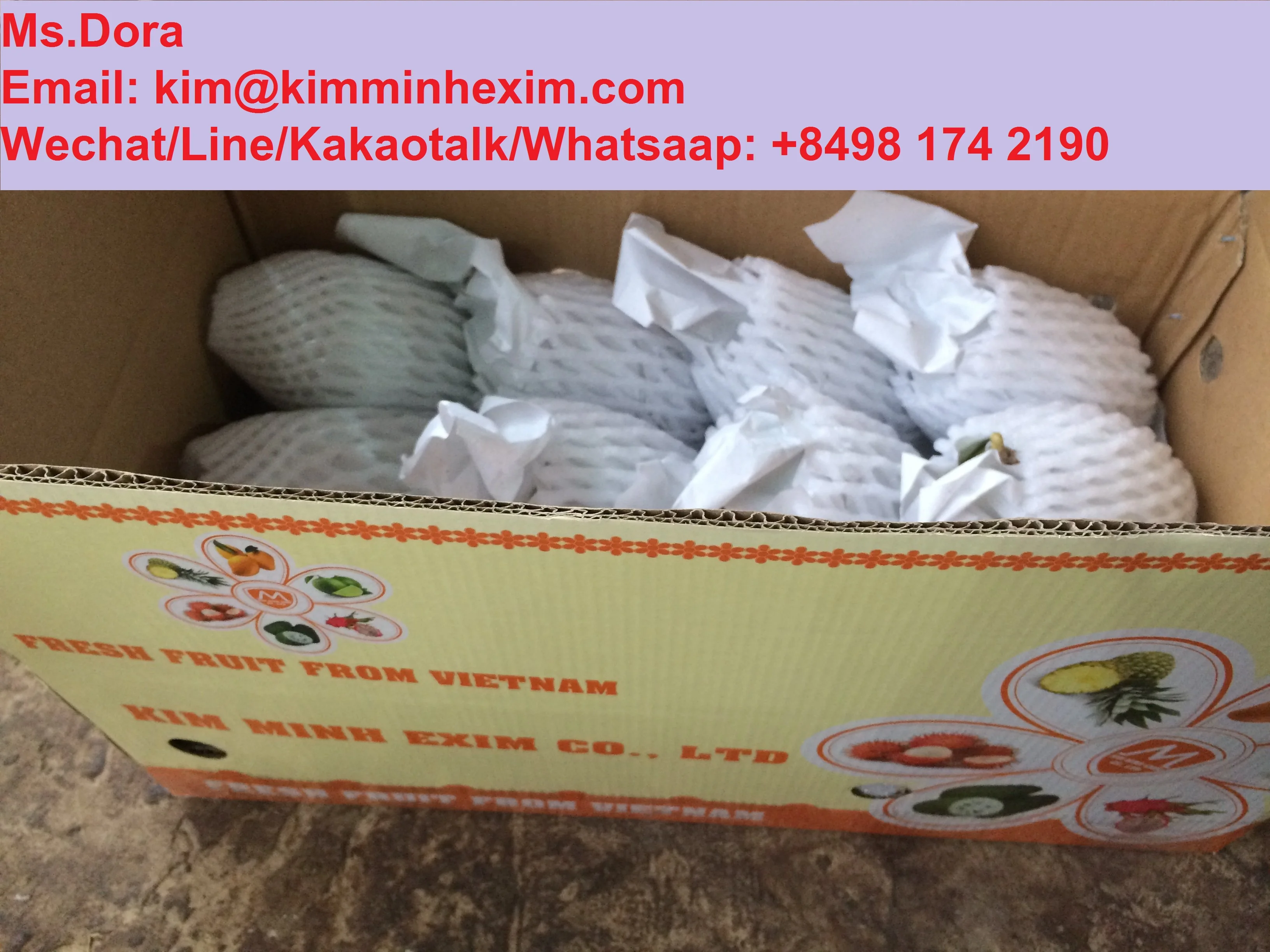 2022 Premium Fresh Mango/Mango Sweet Mango VietNam