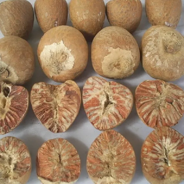 DRIED Betel Nut Areca Nut Whole Sale Sweet Green Style Packaging Color Raw Origin Type HAI Life Quality High Grade Product ISO