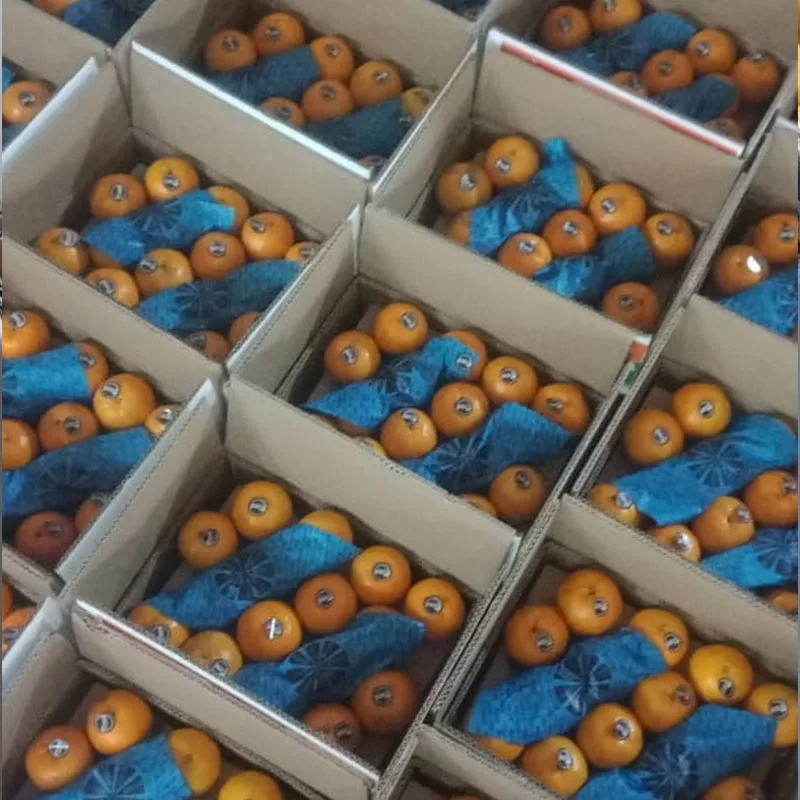 2022 Pakistani fresh mandarin Kinnow orange