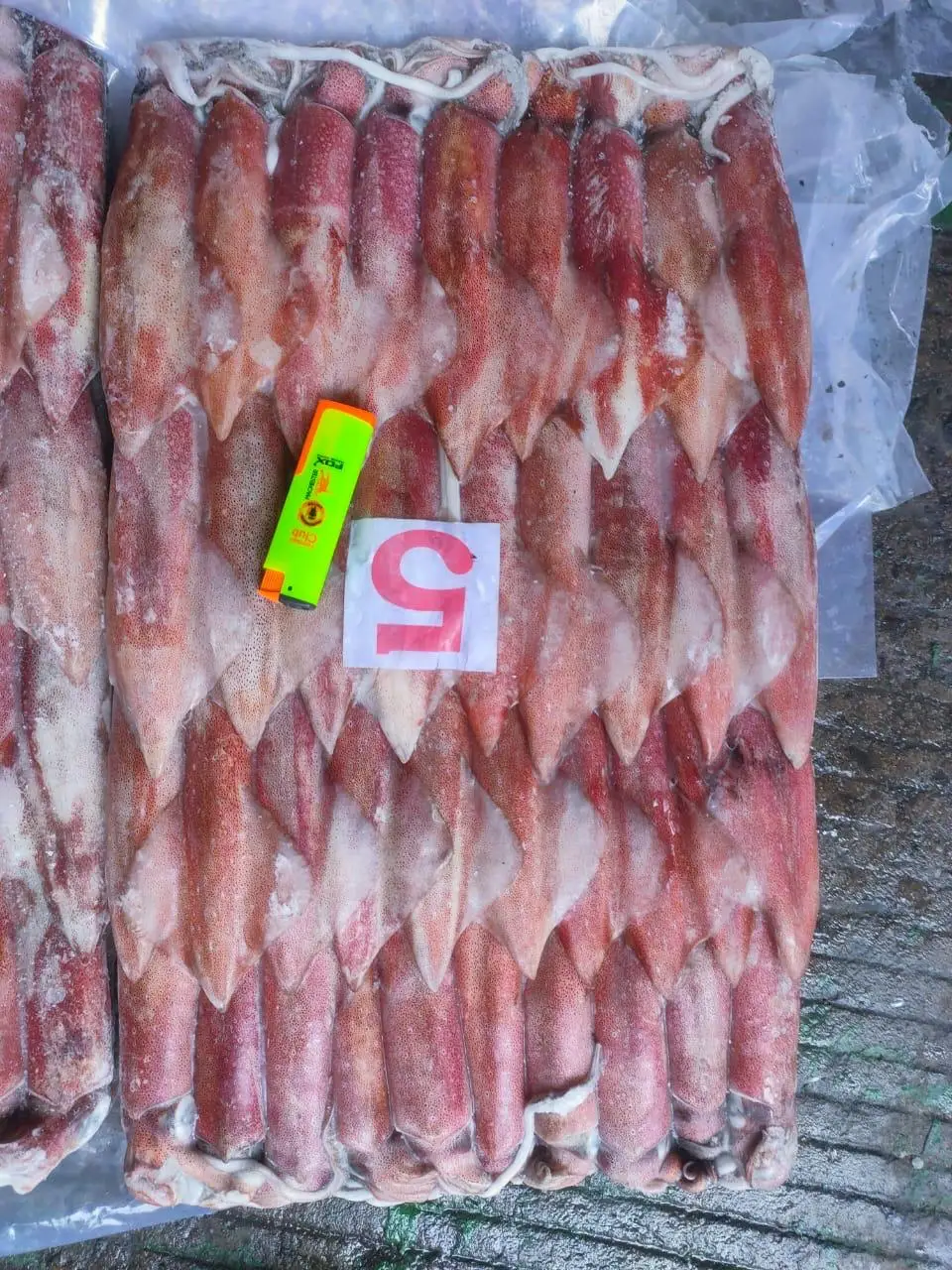 FRESH FROZEN INDONESIAN SQUID MOST POPULAR STANDARD