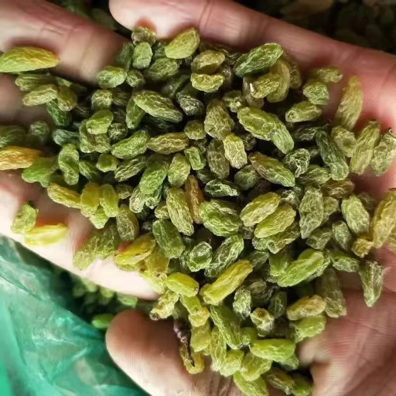 natural green dry fruit raisins all types of dried raisins