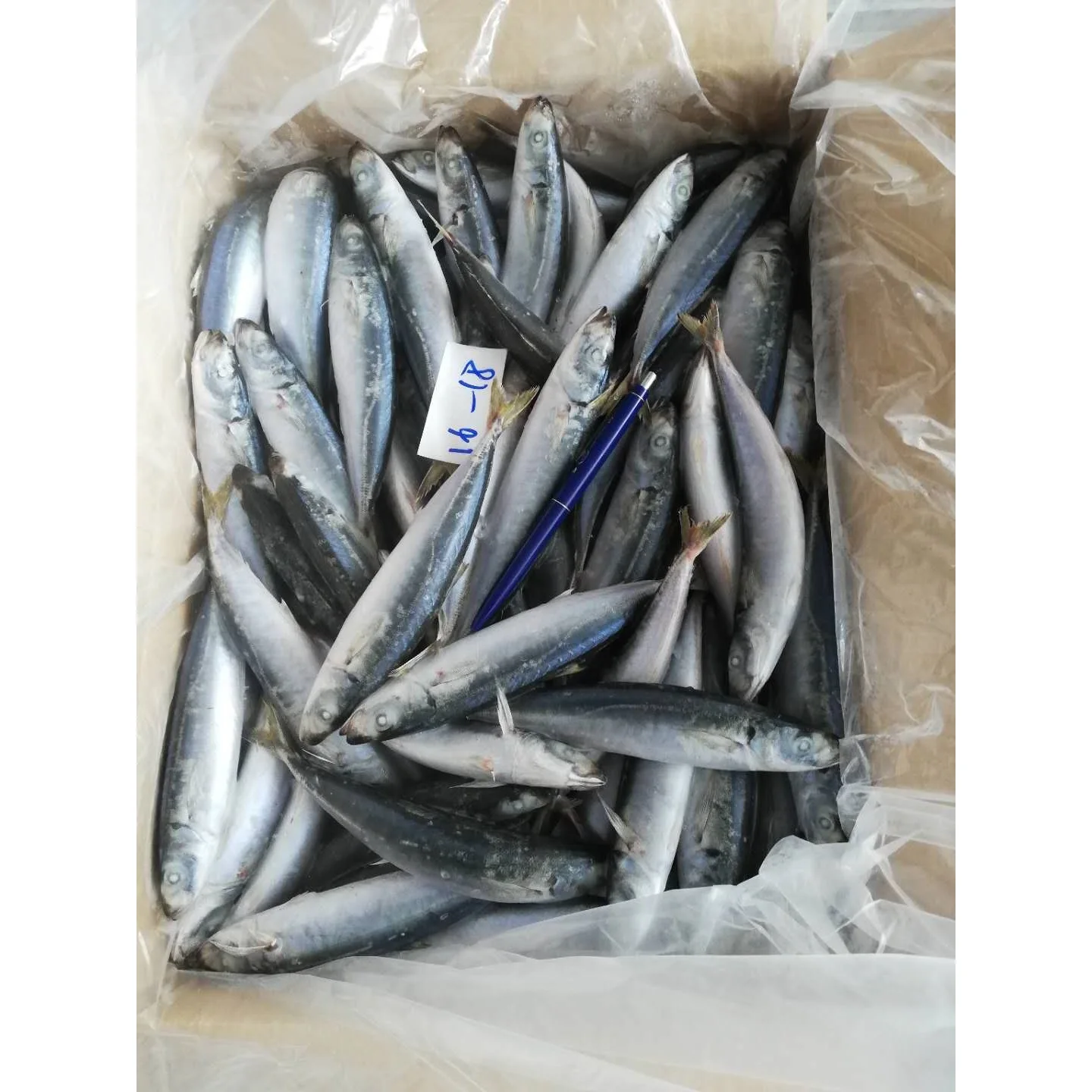 Frozen mackerel - layang scad fish - high quality, cheap price