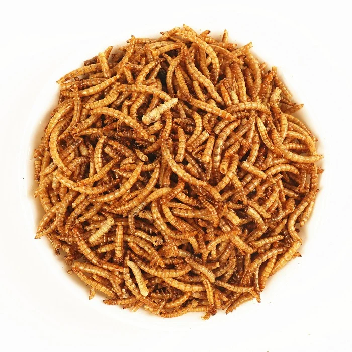  Материал для аквакультуры сушеный белок насекомых Mealworm оптовая продажа Сушеные Желтые еда домашних животных корм птиц хомяка