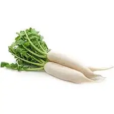 Manufacture supply cheap dried Radish strips/ Dried Dakon Radish in Vietnam  / Ms. Nary ( +84 904183651)