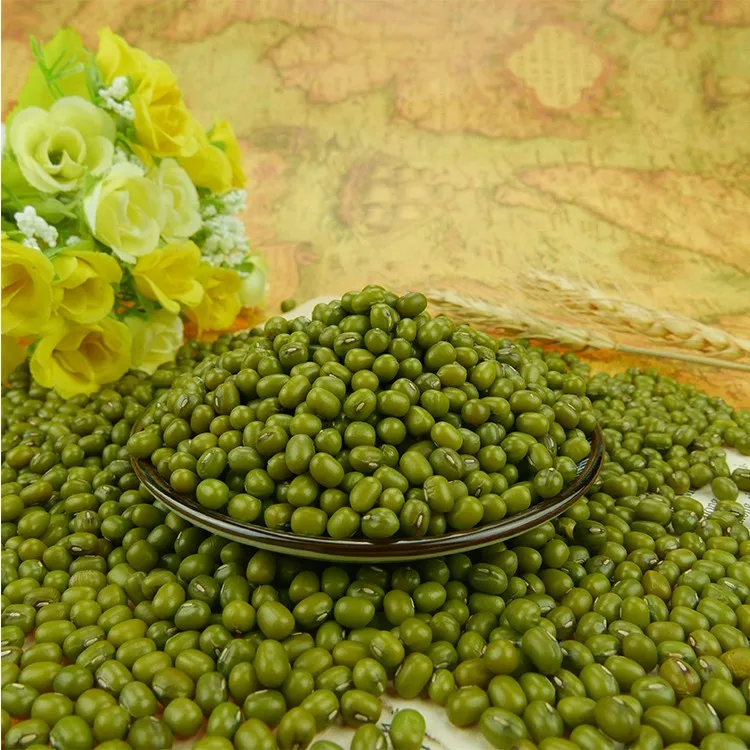 Green Mung Beans :Top Quality Green Mung Beans