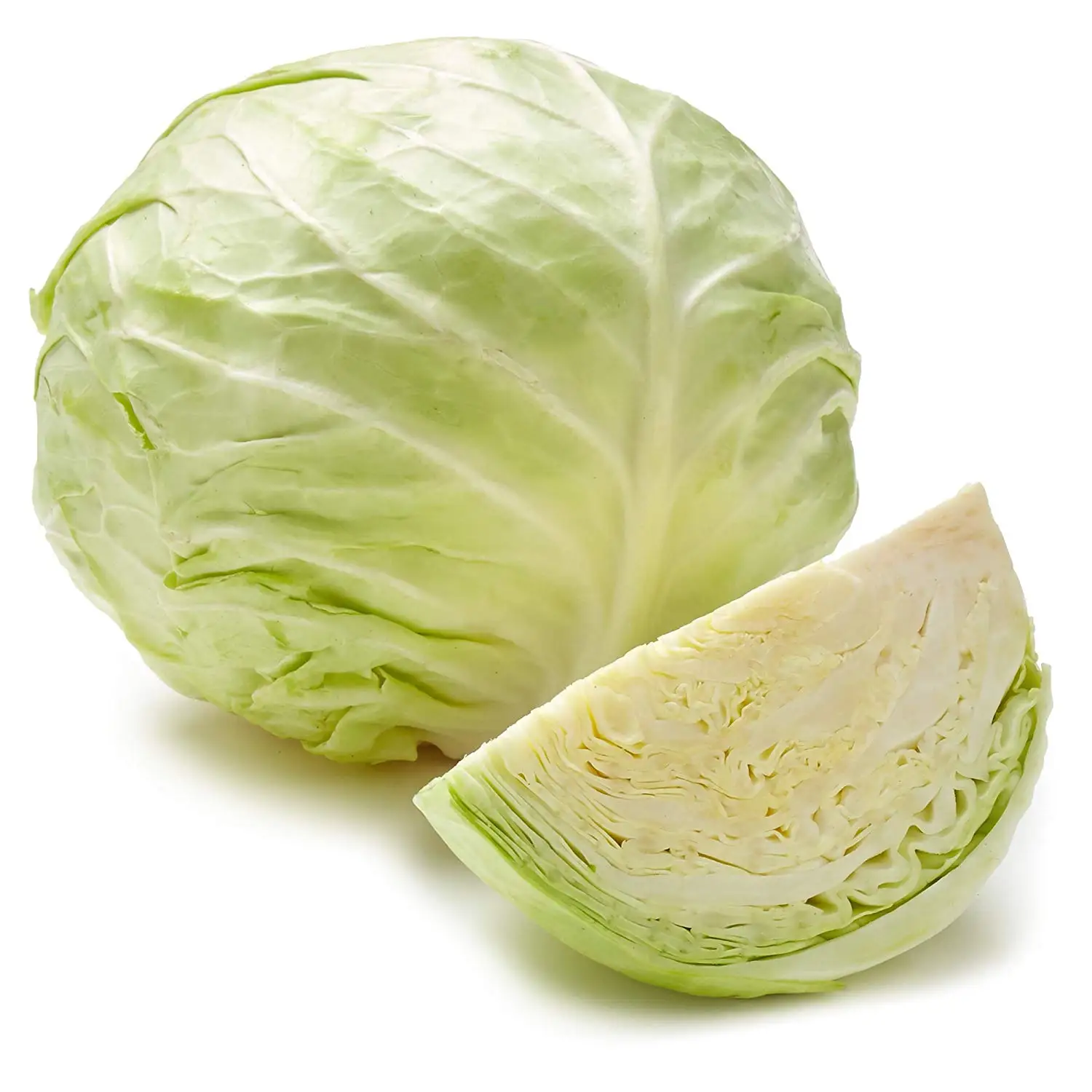 New crop of Chinese fresh vegetables round cabbage price for export