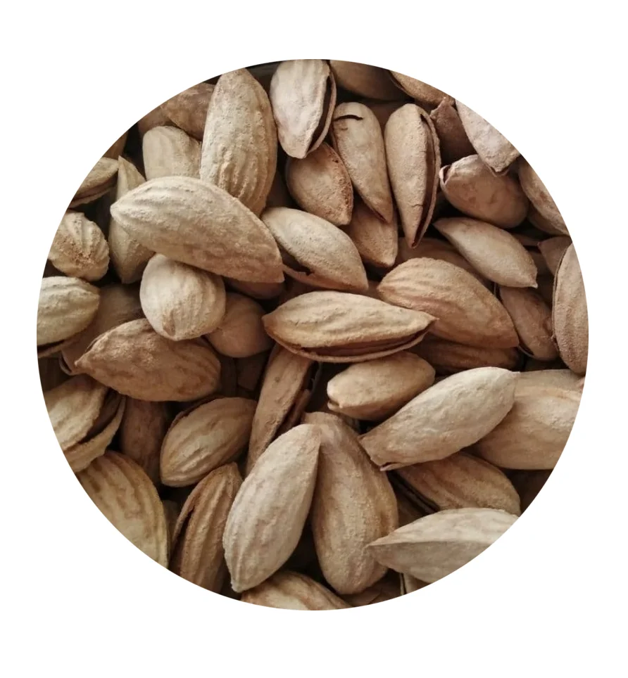 Crop 2021 October wholesale great quality from Uzbekistan bags 25 kg  organic dried nuts natural almond