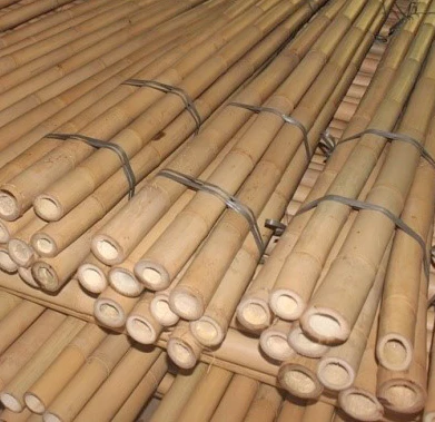 Eco-friendly Solid Bamboo Pole For Construction And Gardening From Vietnam