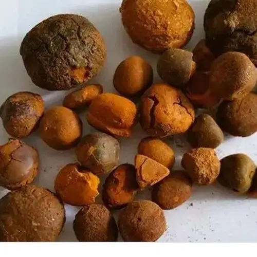 Ox/Cow Bladder Gallstones 100% Whole Stones AVAILABLE