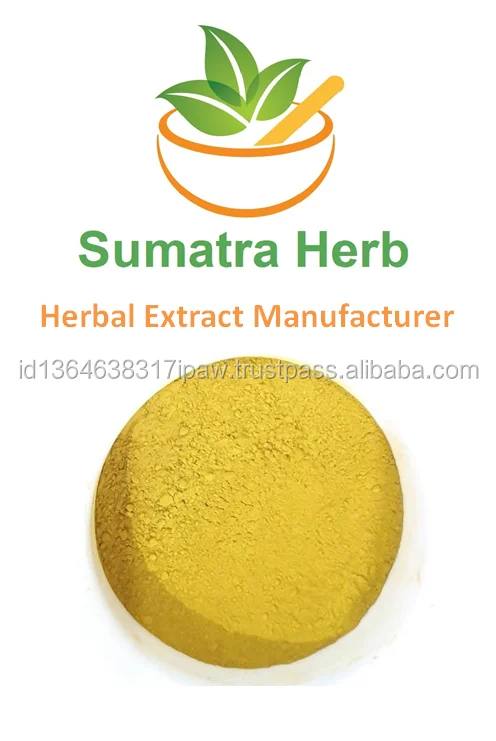 
Natural Berberis Aristata extract Rhizoma Coptis Berberine Powder Origin Indonesia 