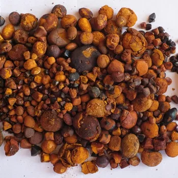 Ox Gallstones/ Cattle Gallstones /Cow Gallstones