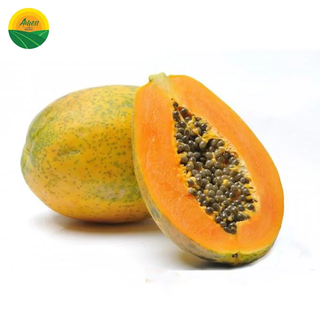 FRESH PAPAYA FOR SALE WITH BEST PRICE