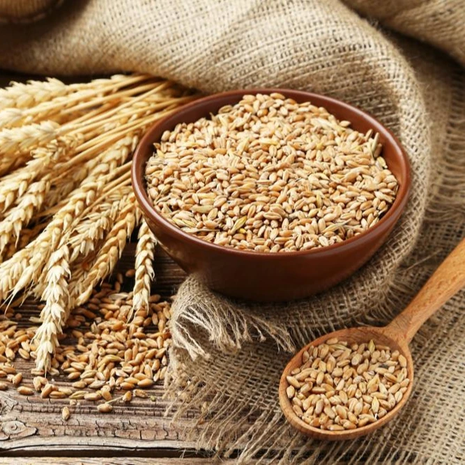 
HIGH QUALITY WHEAT PRODUCTS WHOLE NUTRITION GRAIN PRICE 