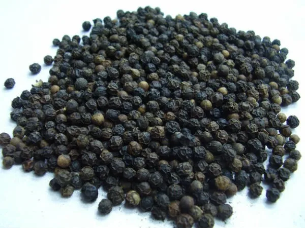 Hot Sale Vietnam Top Grade Single Spices Black Pepper 500gl, 550gl, 570gl, 580gl (FAQ) Best Price [Free sample]