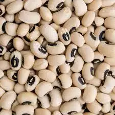 black eyed peas beans PERU