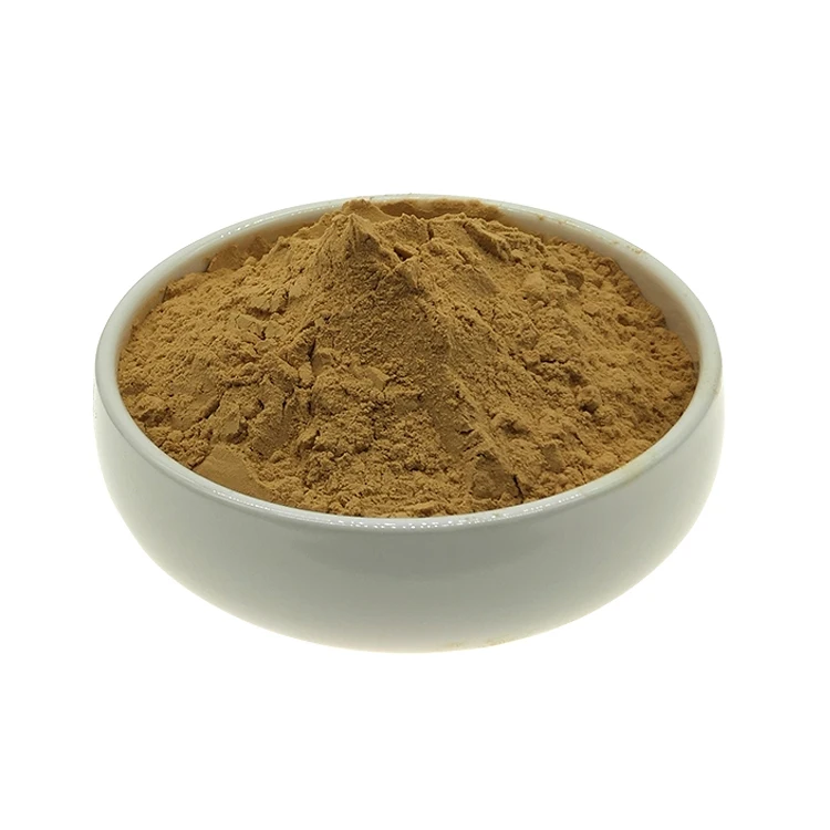 
Rich Quality Herbal Extract Noni Extract Powder at Bulk Price 