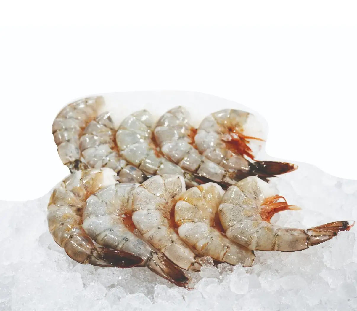 Frozen shrimp high quality