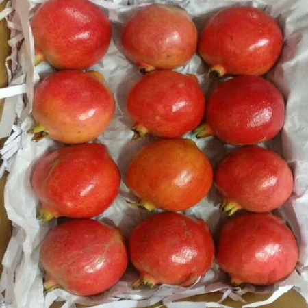 Свежий гранат