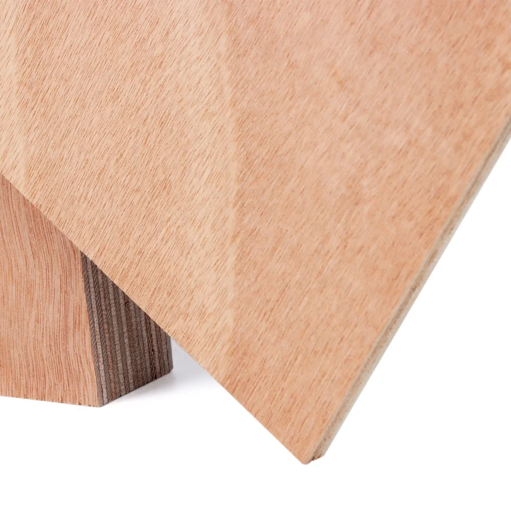 Customized types 11 ply 18mm marine plywood board BS1088 for construction