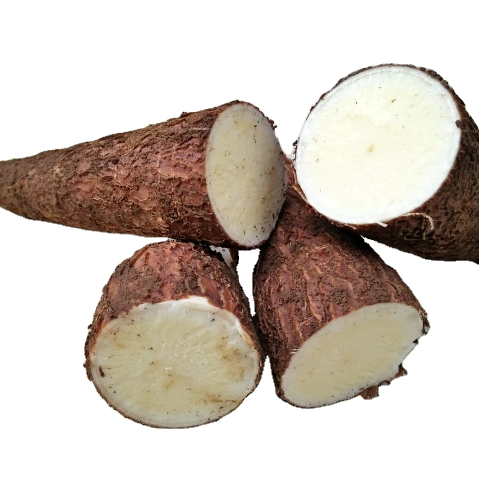Buy online fresh cassava