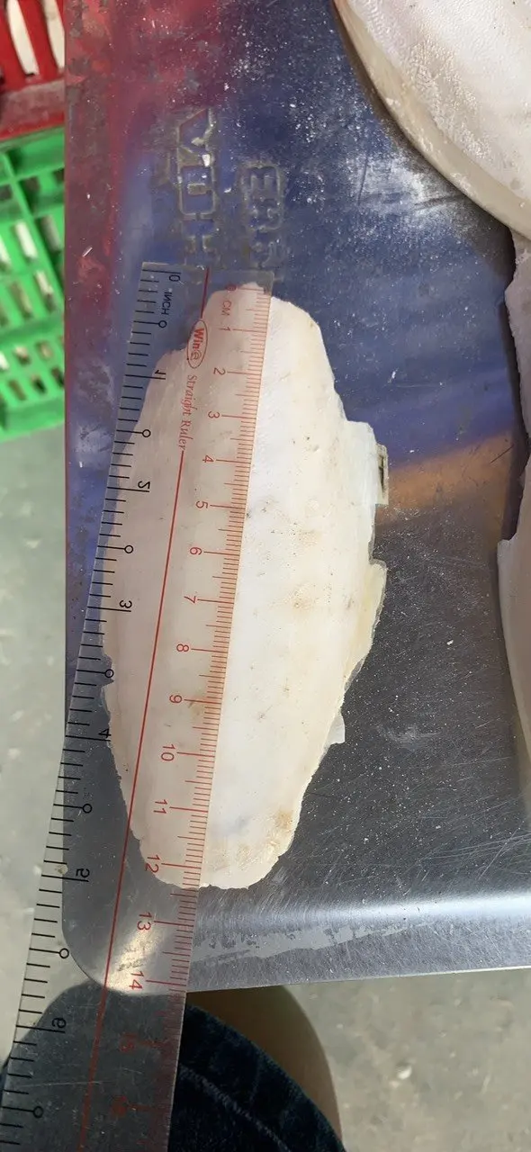 Хороший товар от Ocean Cuttlefish, лучший тип костей для игрушек для домашних животных-Tony (телефон/Whatsapp/Viber: + 84 911 333 066)