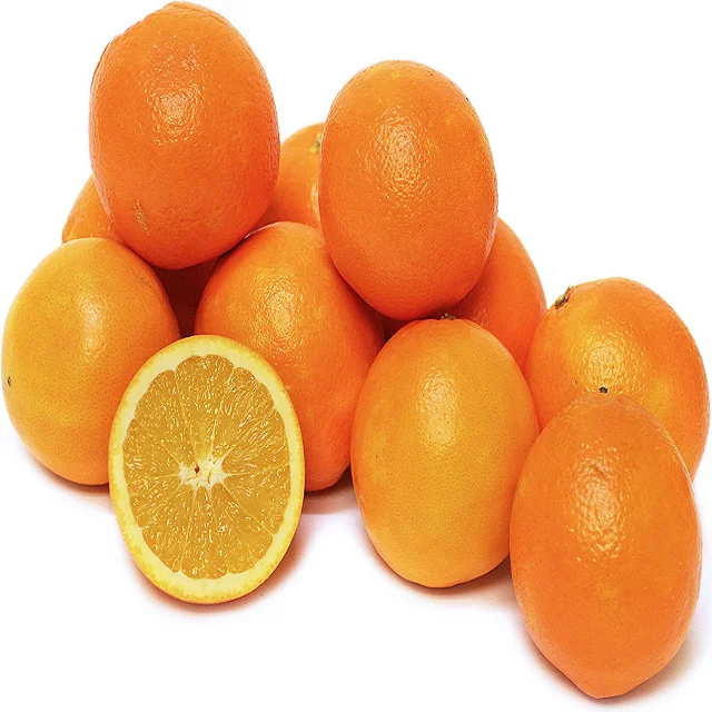ORANGE CULTIVATION  TYPE AND ORANGE COLOR NAVEL ORANGE FOR EXPORT