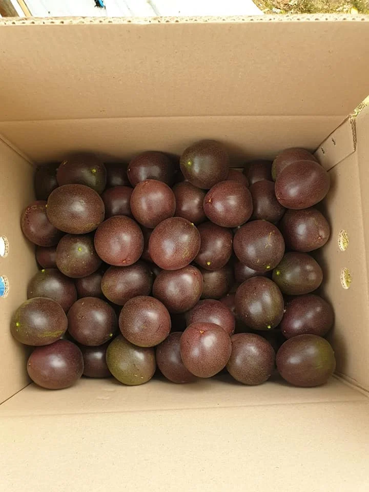  Замороженные страстные фрукты полностью в вакуумной упаковке высокое качество из Вьетнама 0084947900124