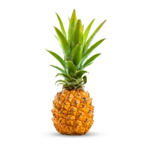 Сочные свежие ананасы возможно необработанные ананас comosus или сосновые яблоки из бангладеш