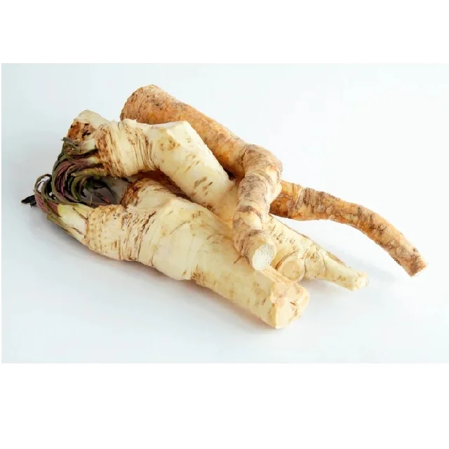 Organic Horseadish Dried Organic Wholesale Hot Wholesale Hot Food Seasoning  Whole Single