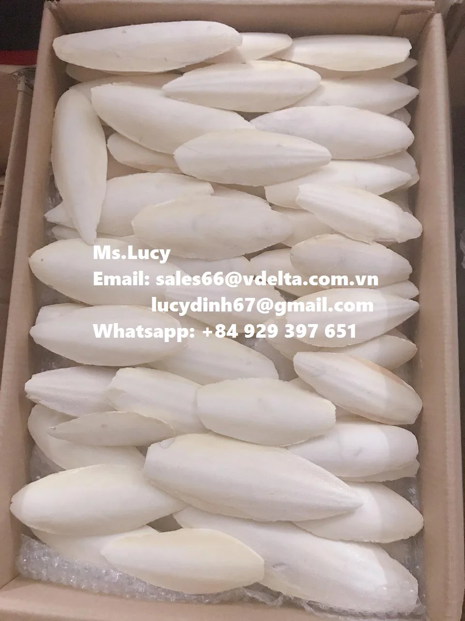 Экспорт высококачественного порошка для костей морской слепки/сушеная косточка морской слепки/вьетнамская косточка морской слепки мс. Люси + 84 929 397 651