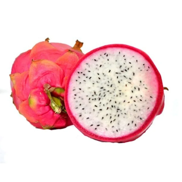 
Premium Grade Indonesia Fresh Dragon Fruit for Export WhatsApp +6287878942750 