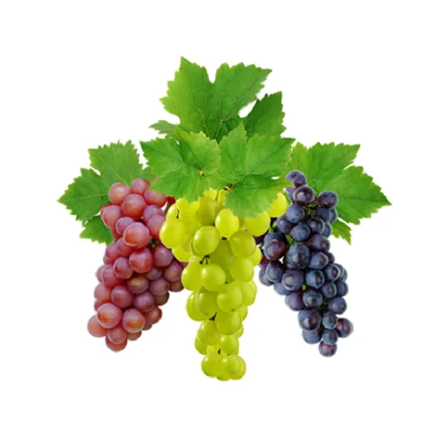 
Cheap Seedless Grapes / Fresh Grapes / Fresh seedless red balloon grapes 