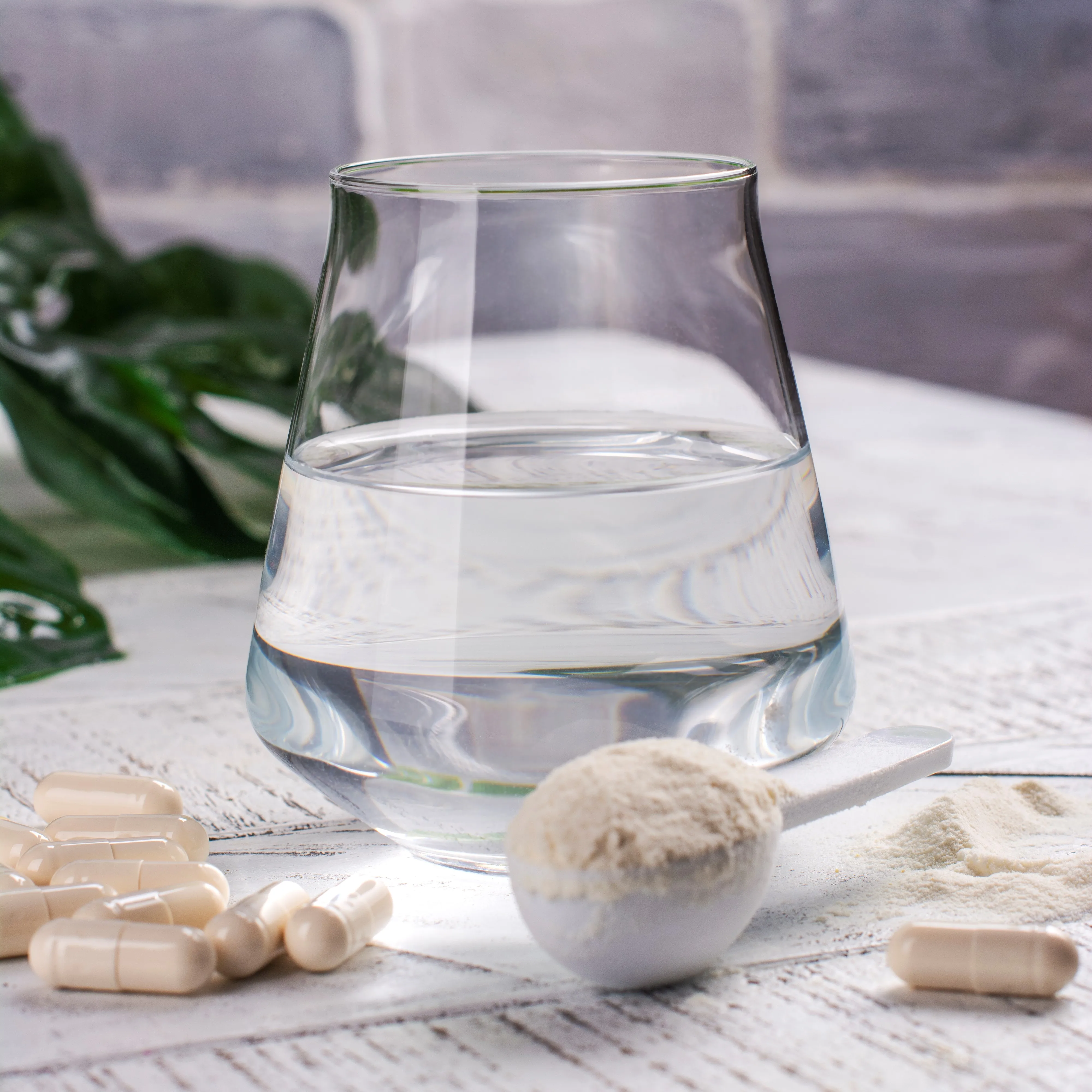 300 миллиардов сушеных в замораживании корней CFU 11 штампов универсальный пробиотический порошок