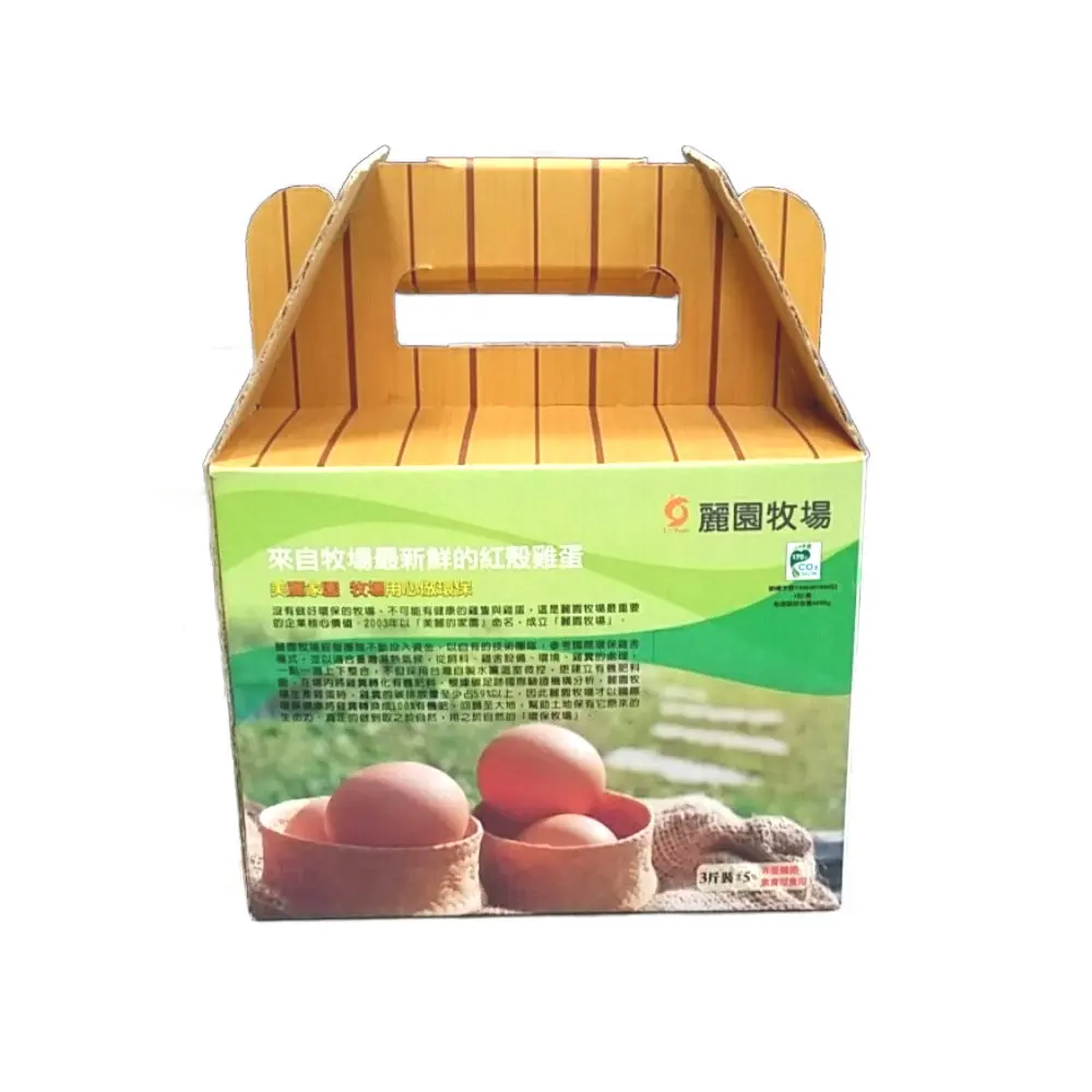 Custom Printed Sturdy Corrugated Tall Gable Paper Boxes with Handle